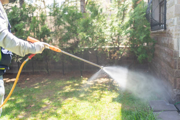 Best Wasp Removal Services  in Waynesburg, OH